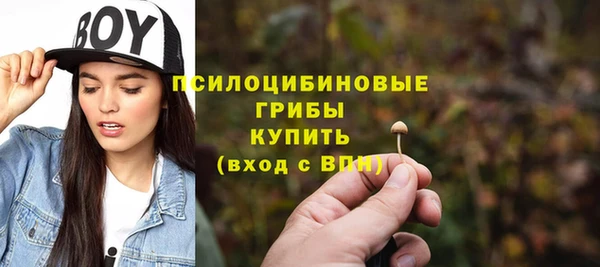 ПСИЛОЦИБИНОВЫЕ ГРИБЫ Богородицк